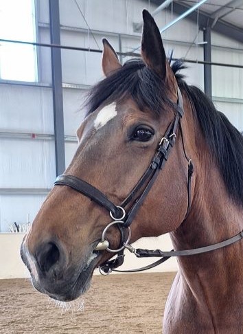 R. Kallisto : (aka Kali)