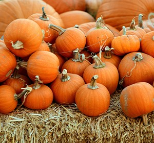 fall fair