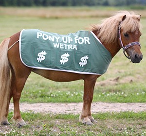 Pony Up