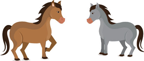Horses