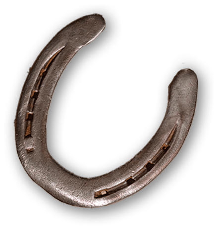 horse shoe
